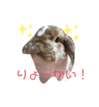 幸兎くんのスタンプ（個別スタンプ：8）
