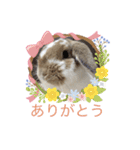 幸兎くんのスタンプ（個別スタンプ：10）