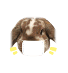 幸兎くんのスタンプ（個別スタンプ：13）