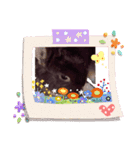 ヒトんチのうさ 2（個別スタンプ：14）