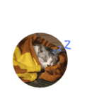 ねこ〜くろ・しろ〜（個別スタンプ：6）