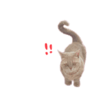 みもら（個別スタンプ：3）