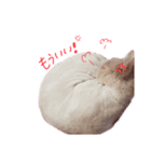 みもら（個別スタンプ：8）