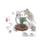 三毛猫 みいちゃん（個別スタンプ：3）