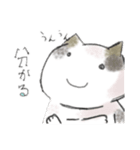 三毛猫 みいちゃん（個別スタンプ：11）