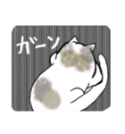 三毛猫 みいちゃん（個別スタンプ：16）