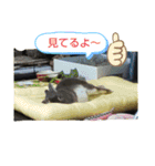 うさスタンプ1（個別スタンプ：7）