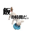 ロンとよしお①（個別スタンプ：15）