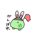 今日も今日とてかめうさぎ（個別スタンプ：17）