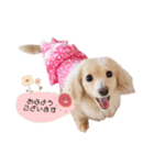 marinchan..（個別スタンプ：1）