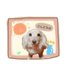 marinchan..（個別スタンプ：2）