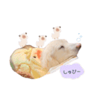 marinchan..（個別スタンプ：7）