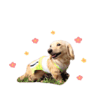 marinchan..（個別スタンプ：19）
