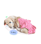 marinchan..（個別スタンプ：21）