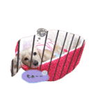 marinchan..（個別スタンプ：28）
