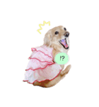 marinchan..（個別スタンプ：29）