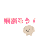 毎日使えるワンちゃんのデカ文字スタンプ（個別スタンプ：9）