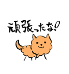 ちょっぴり上から褒めてくれる犬（個別スタンプ：12）