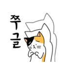 にゃんこたち 2 (韓国語)（個別スタンプ：12）