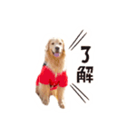 ノエルたんスタンプ登場（個別スタンプ：9）