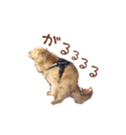 ノエルたんスタンプ登場（個別スタンプ：11）
