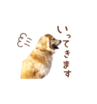 ノエルたんスタンプ登場（個別スタンプ：15）