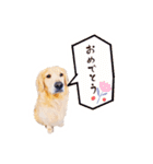 ノエルたんスタンプ登場（個別スタンプ：19）