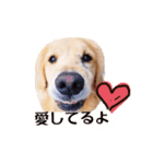 ノエルたんスタンプ登場（個別スタンプ：20）