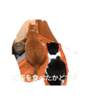チャイ＆エリー（個別スタンプ：3）