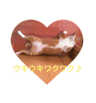 チャイ＆エリー（個別スタンプ：10）
