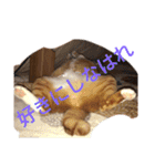 チャイ＆エリー（個別スタンプ：13）