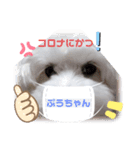 ぷうたろうでございますNo.2（個別スタンプ：8）