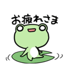 白目かえる まめけろ1毎日使えるあいさつ編（個別スタンプ：13）