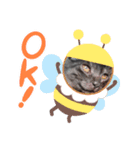 我が家の愛猫⑤（個別スタンプ：16）