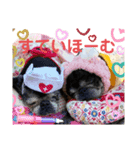 ちゃらのすたんぷ～（個別スタンプ：1）