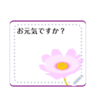 花でメッセージ2。（個別スタンプ：4）