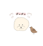 ビションフリーゼとうずらの日常（個別スタンプ：6）