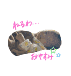 乳児日記（個別スタンプ：13）