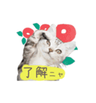 猫の鈴2（個別スタンプ：1）