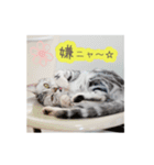 猫の鈴2（個別スタンプ：6）