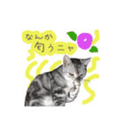 猫の鈴2（個別スタンプ：10）