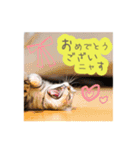 猫の鈴2（個別スタンプ：14）