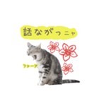 猫の鈴2（個別スタンプ：19）