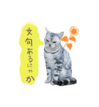 猫の鈴2（個別スタンプ：24）