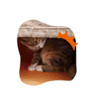 mix茶子ちゃん（個別スタンプ：5）