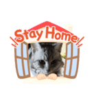 ぶんじスタンプVol.1（個別スタンプ：5）