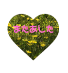 毎日たんぽぽ（個別スタンプ：2）