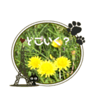 毎日たんぽぽ（個別スタンプ：16）