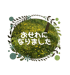 毎日たんぽぽ（個別スタンプ：18）