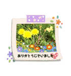 毎日たんぽぽ（個別スタンプ：23）
